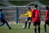 MG_5330-1
