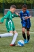 _MG_3564